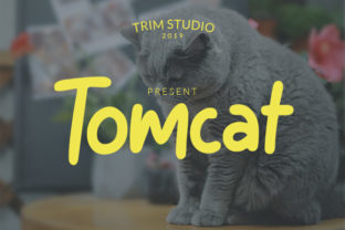 Tomcat Font: Injecting Playful Energy into Modern Design